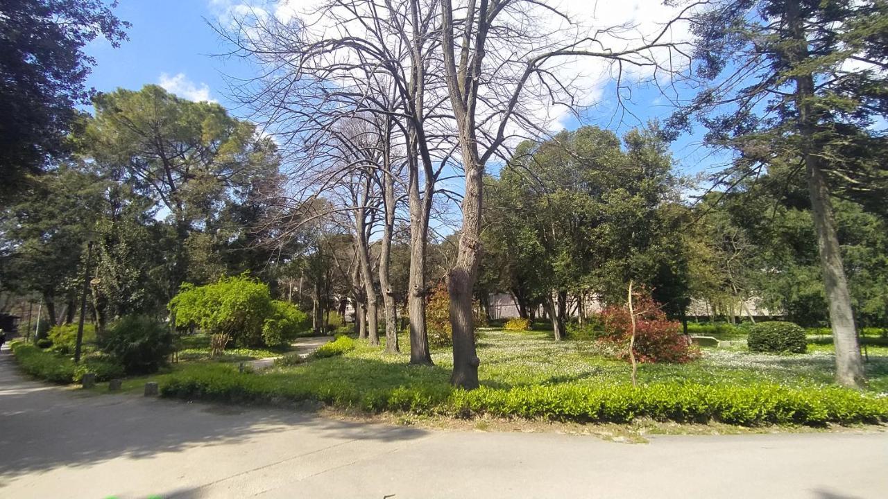 Apartment Antique Zadar - City Center Ngoại thất bức ảnh